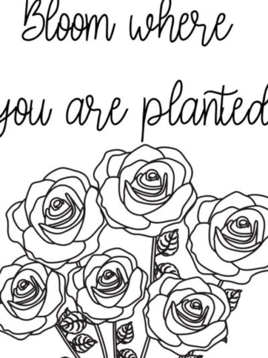 bunch of roses coloring