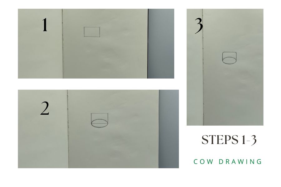 cow drawing easy
