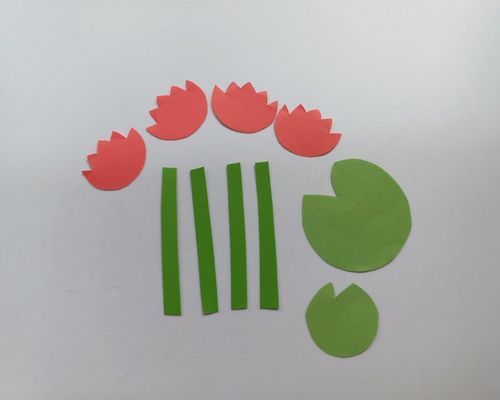 frog pop up card lily pad