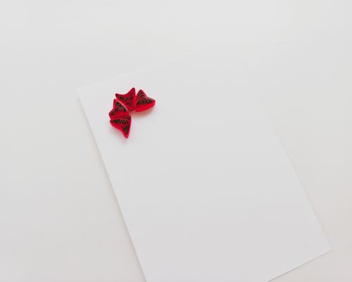 how to quill paper roses