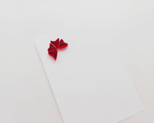 how to quill paper roses