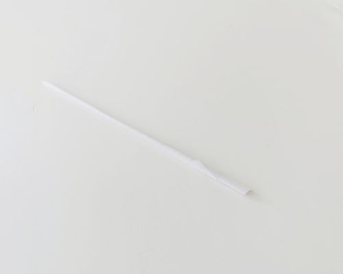 daffodil craft step by step