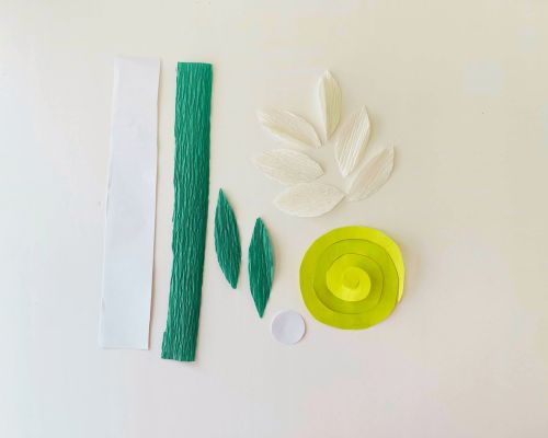diy daffodil paper flower craft
