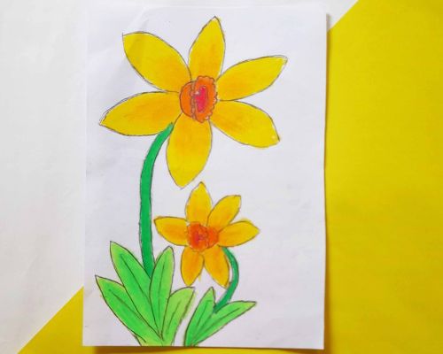 How to Draw Daffodils for Kids