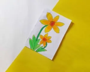 daffodil drawing step by step