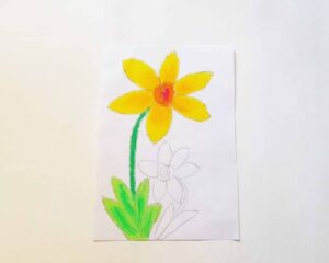 easy to draw daffodils