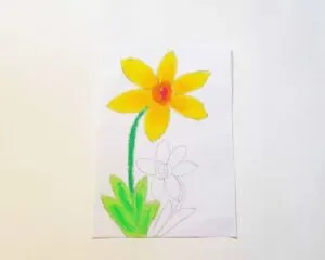 easy to draw daffodils