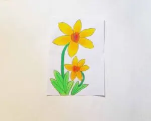 how to draw daffodil flower easy