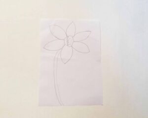 how to draw easy daffodil stem