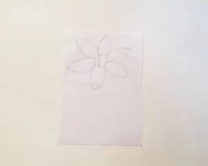 how to draw easy daffodil step by step